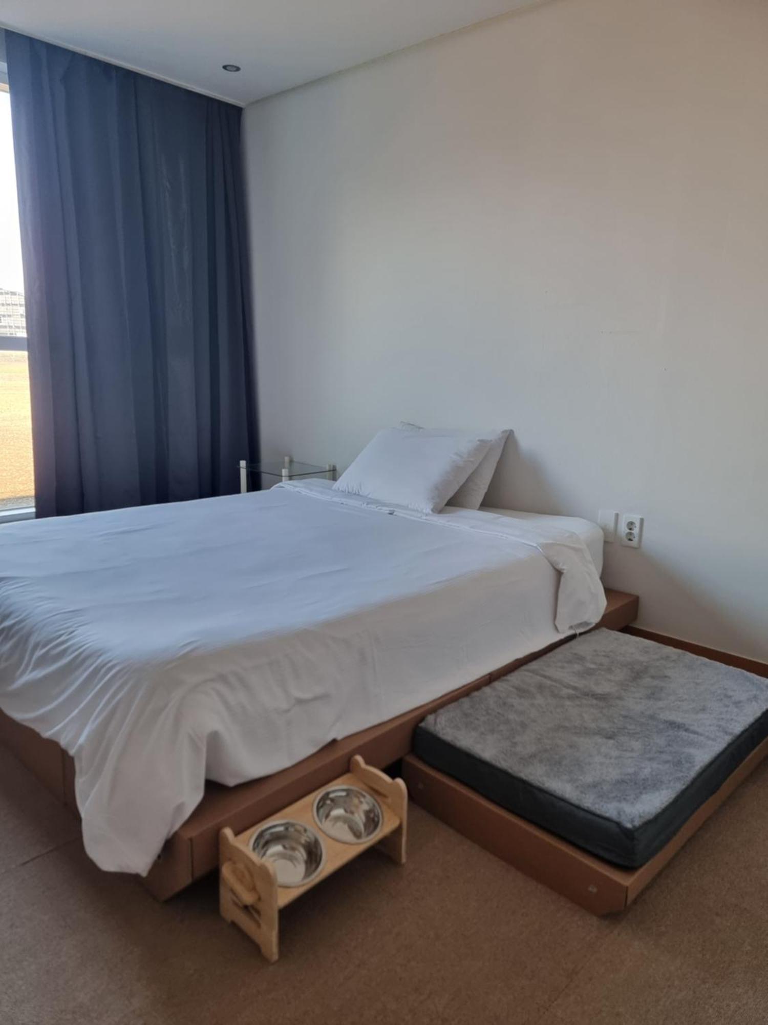 베드라디오 도두봉 BEDRADIO Dodubong Hotel Oedo-dong Ngoại thất bức ảnh